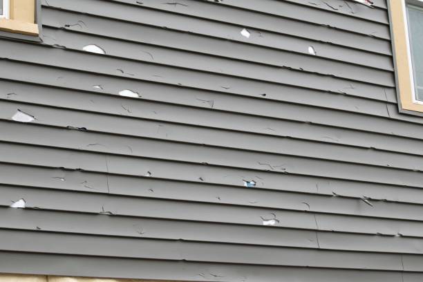 Best Siding Removal and Disposal  in Byng, OK