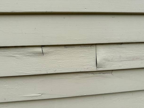 Best Vinyl Siding Installation  in Byng, OK