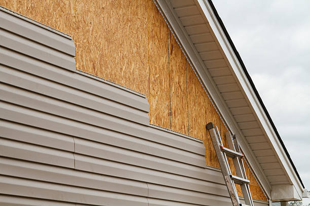 Best Custom Trim and Detailing for Siding  in Byng, OK